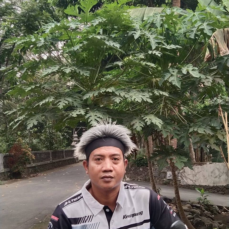 lanang 200 ae lorr cod pasar ngunot | Asat Dwani
