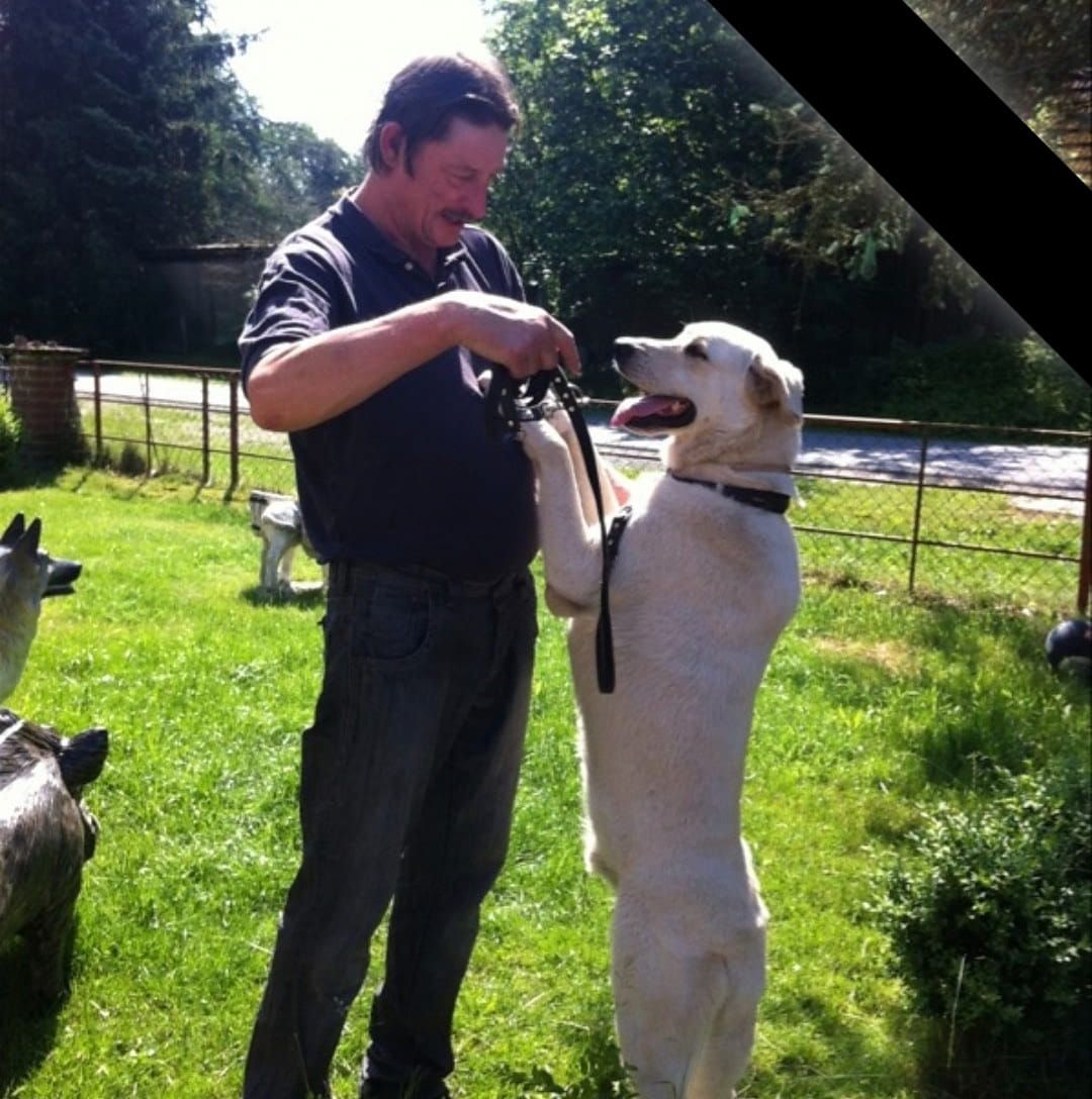 artikel-des-tages-27-08-2026-und-wieder-gibt-es-neue-motive-der-animal