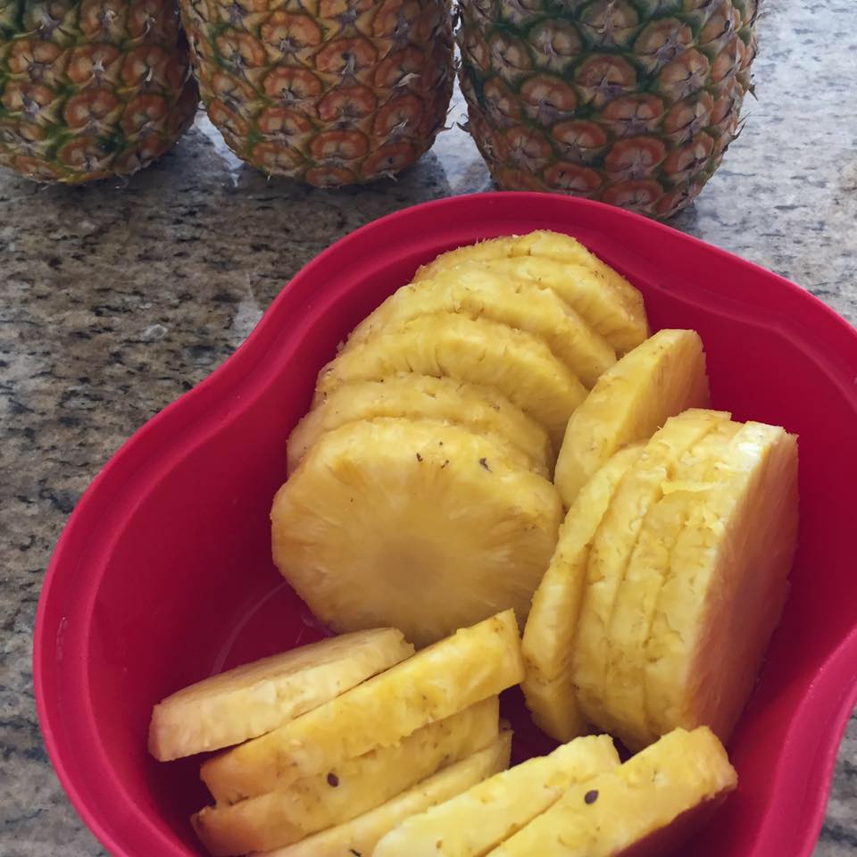 Agrícola La Danta: Producción de Piña Orgánica en Costa Rica | La Virgen