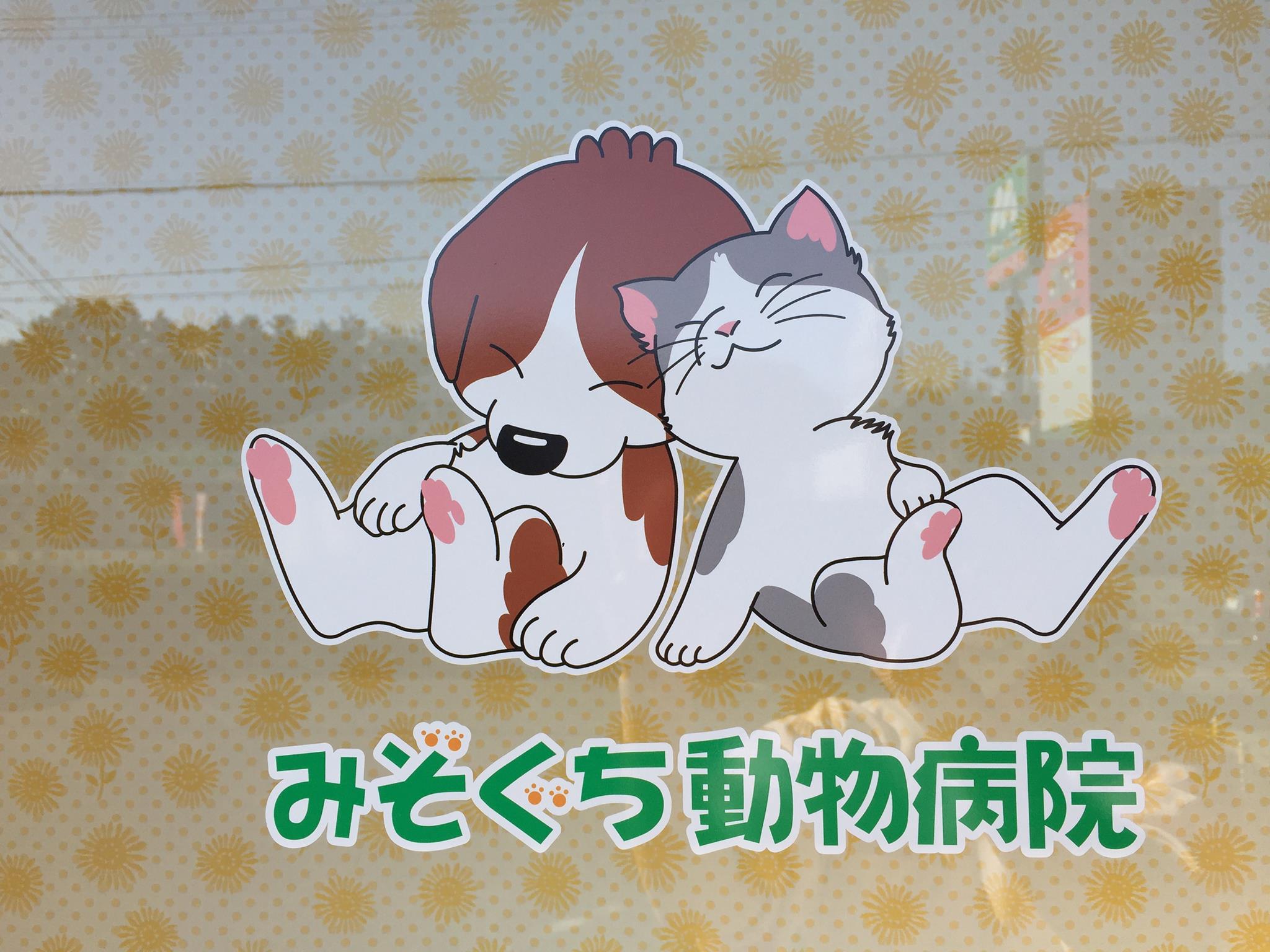 溝口 動物 病院