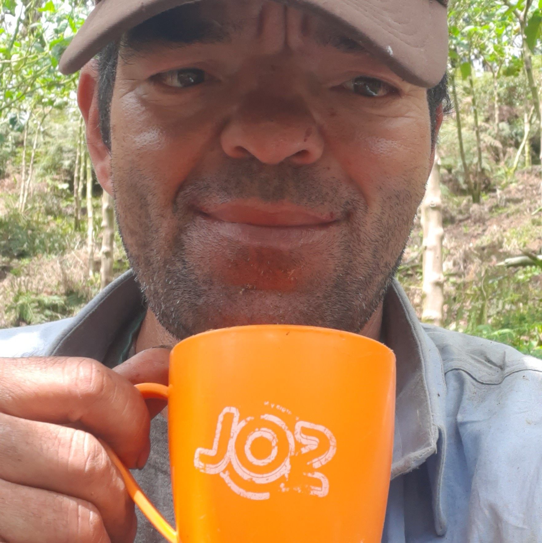 Interés - El injerto 🌱 es una técnica agrícola que une dos plantas para ...