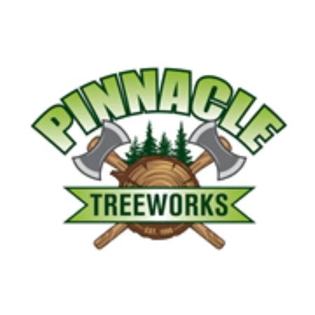 Pinnacle Tree Works | Charlotte TN