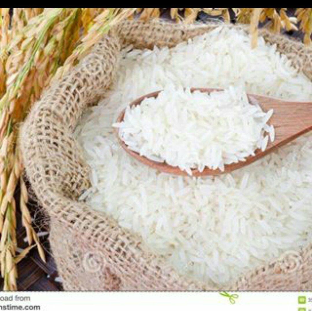 Rice catalogue and price