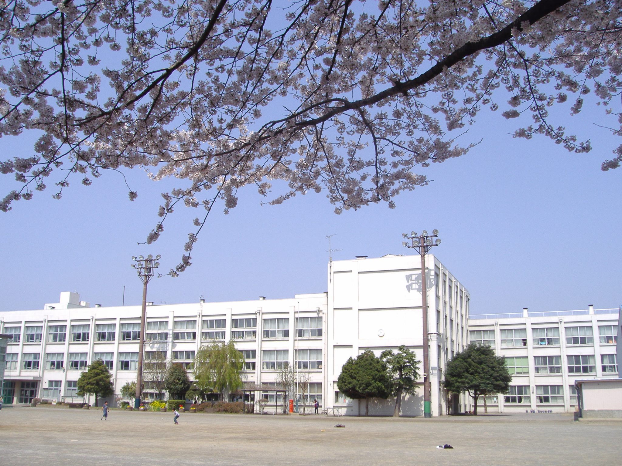 活動歴および当時の関連ビジュアル記録