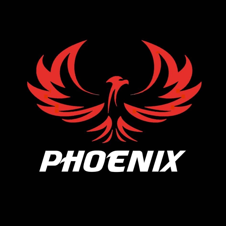 Daegu Phoenix American Football Team