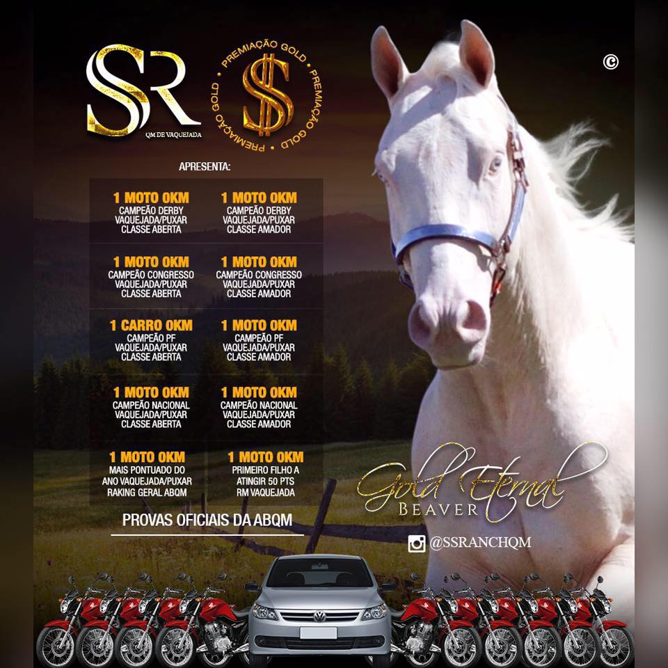 SS Ranch | Petrolina PE