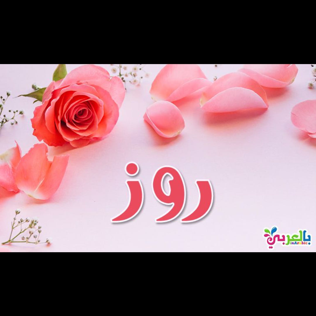 روز_Roz