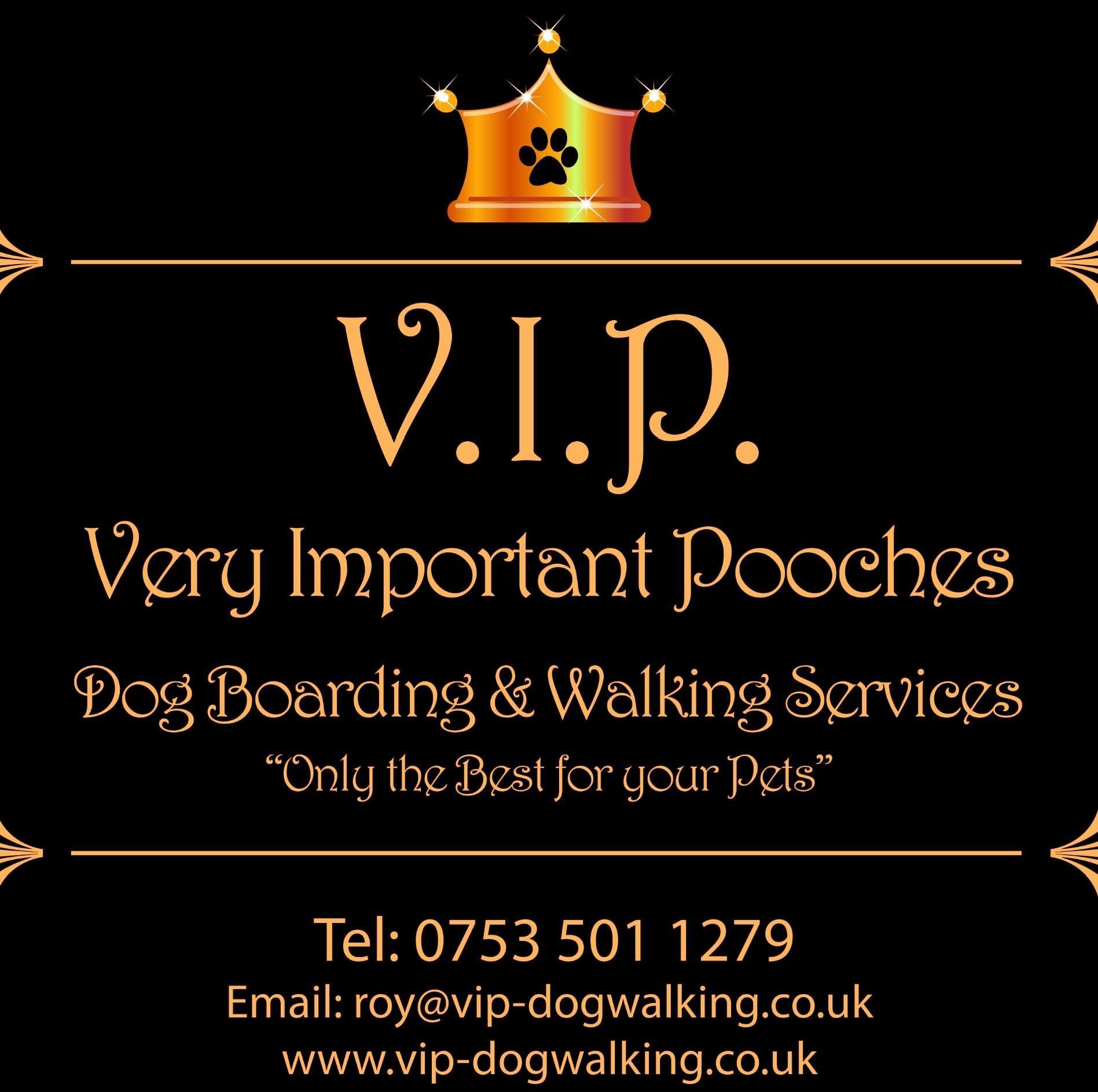 VIP Dog Boarding and Walking Services | Jarrow