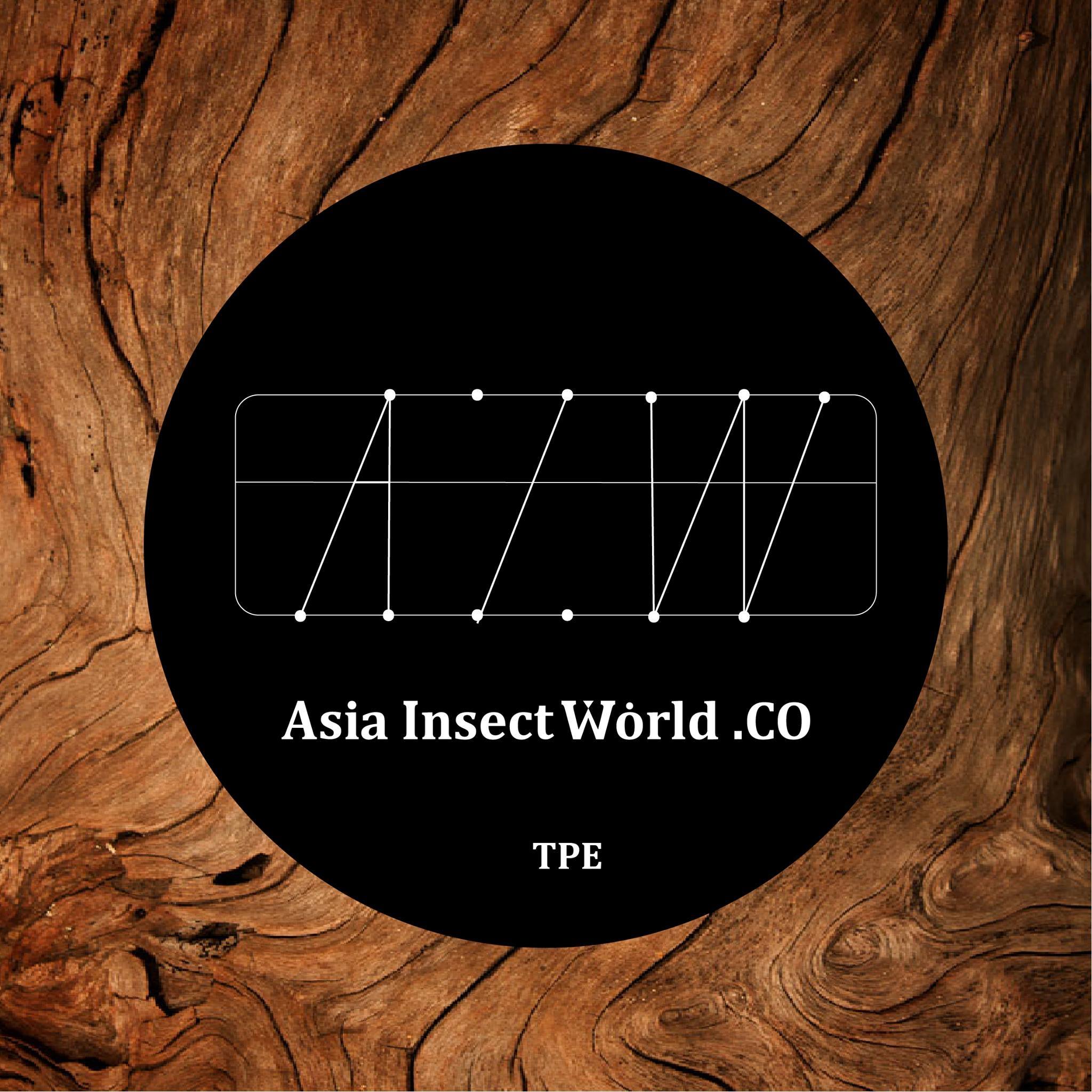 Insect World Logo