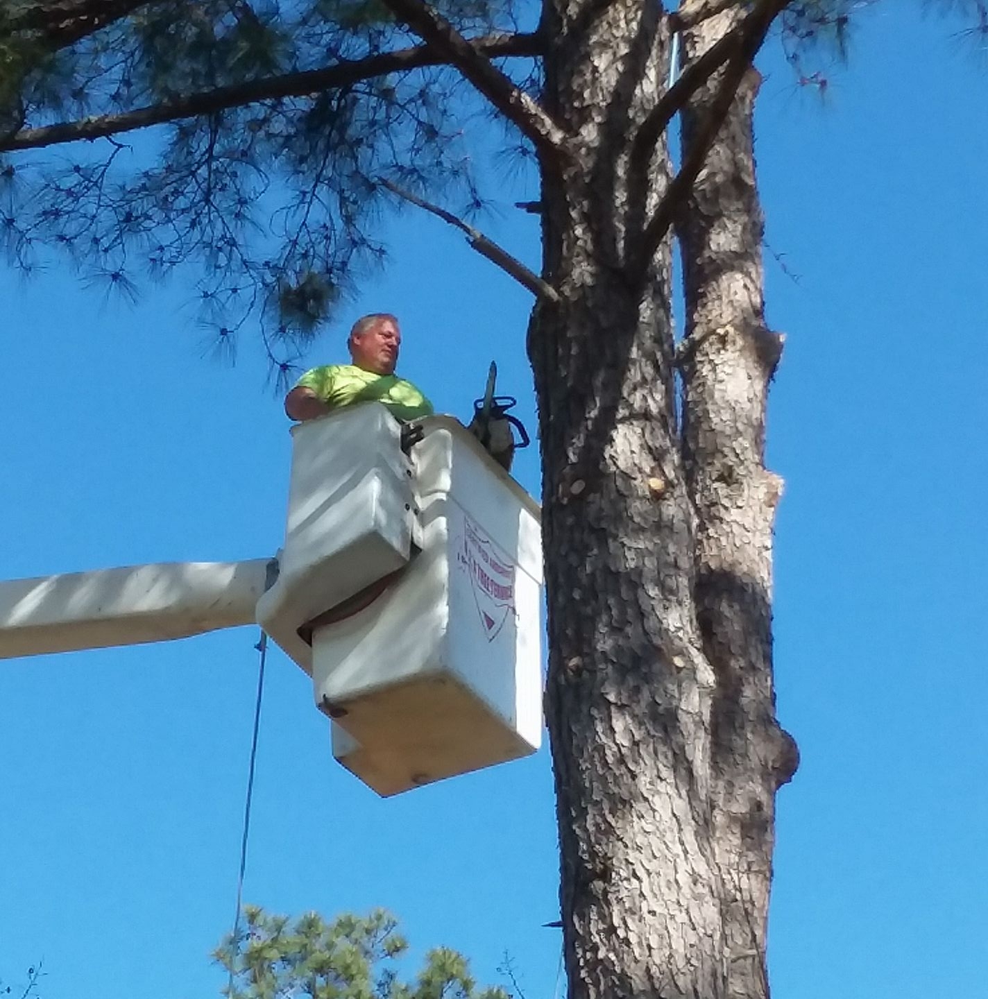 Dj's Tree and Crane Service | Griffin GA