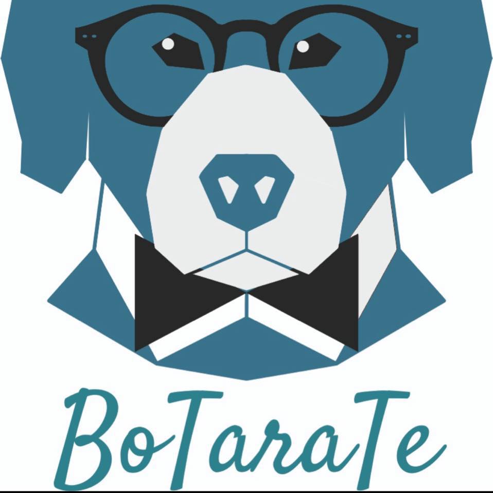 botarate-r-o-bravo