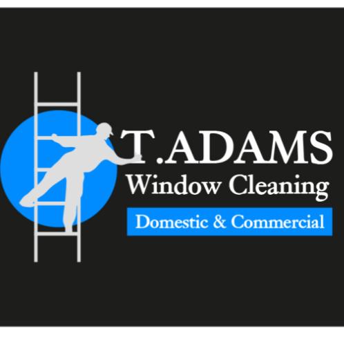 T Adams Window Cleaning Ltd | Surbiton