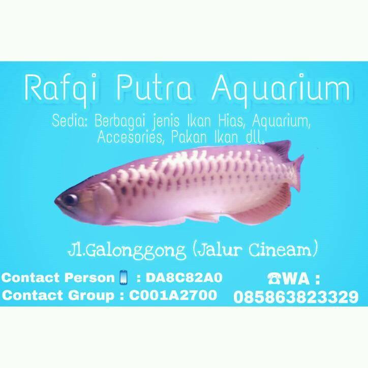 Rafqi Putra Aquarium | Tasikmalaya