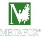 Groupe Metafor International
