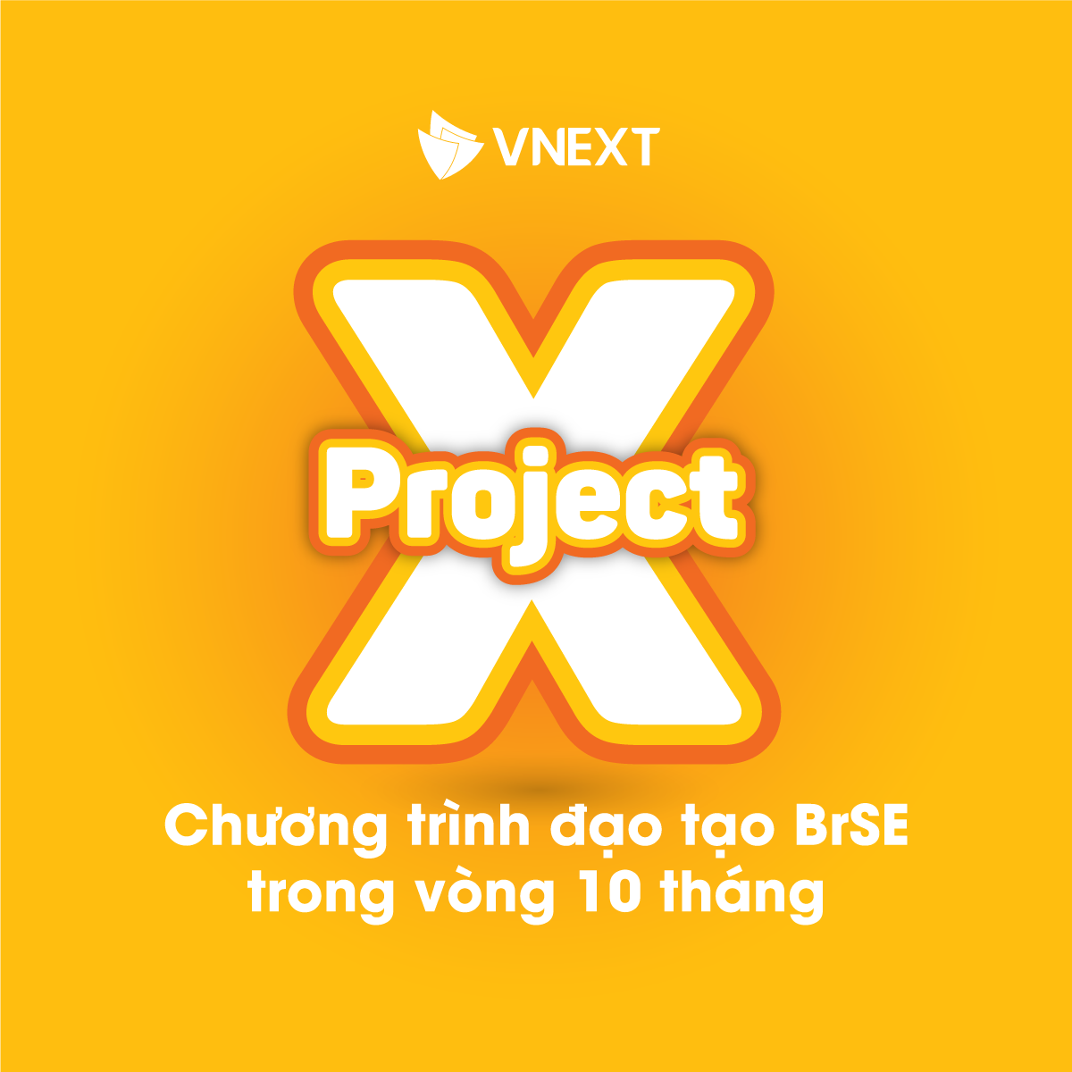 VNEXT Software - Kỹ sư cầu nối BRSE | Hanoi