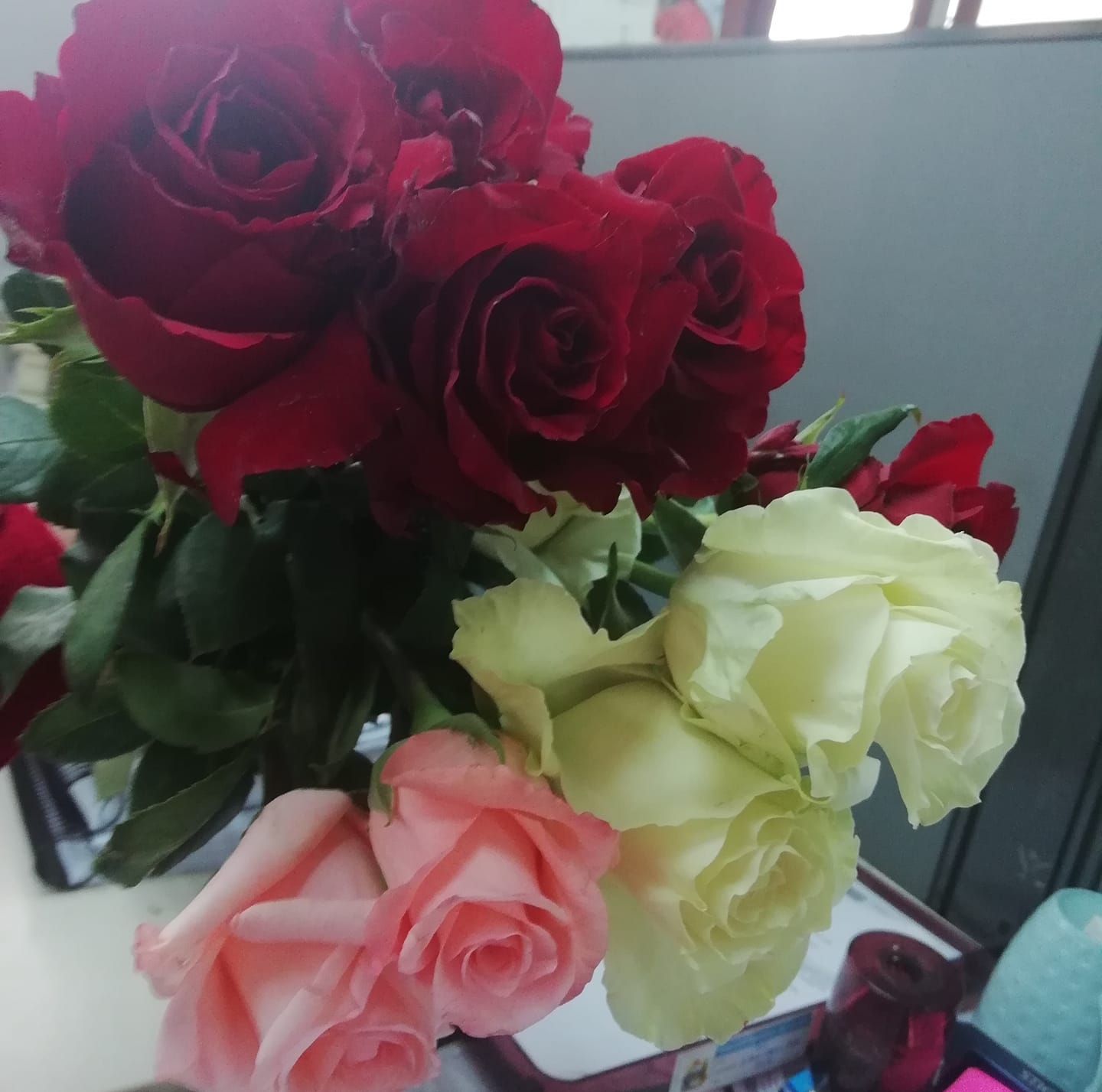 Producción y Comercialización de Rosas 