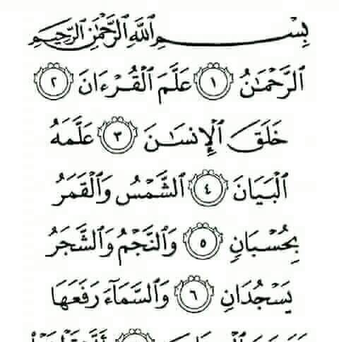 تاز