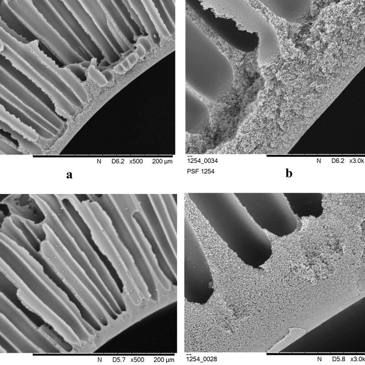 Polymeric - От всего коллектива лаборатории полимерных мембран ИНХС РАН ...