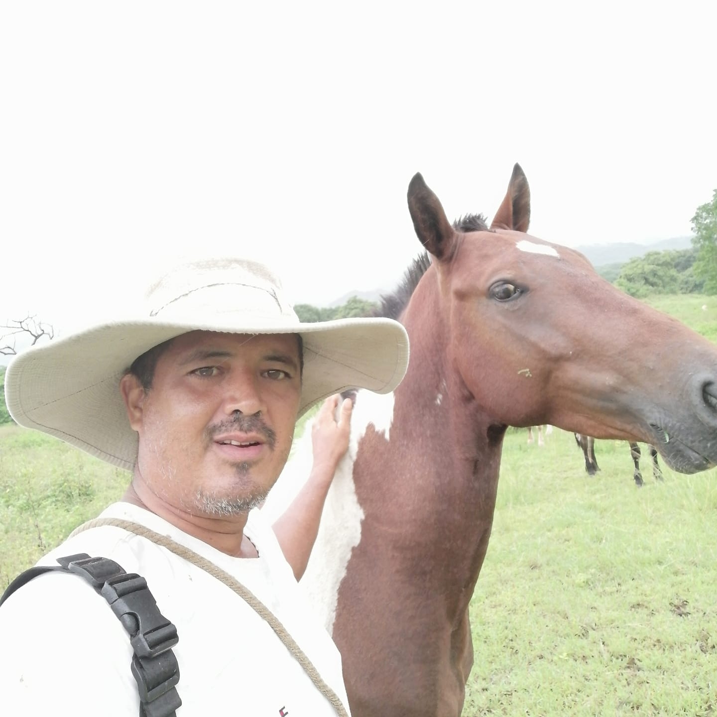Randall Baltodano Rojas (@randall.baltodanorojas) • Facebook, Connect ...