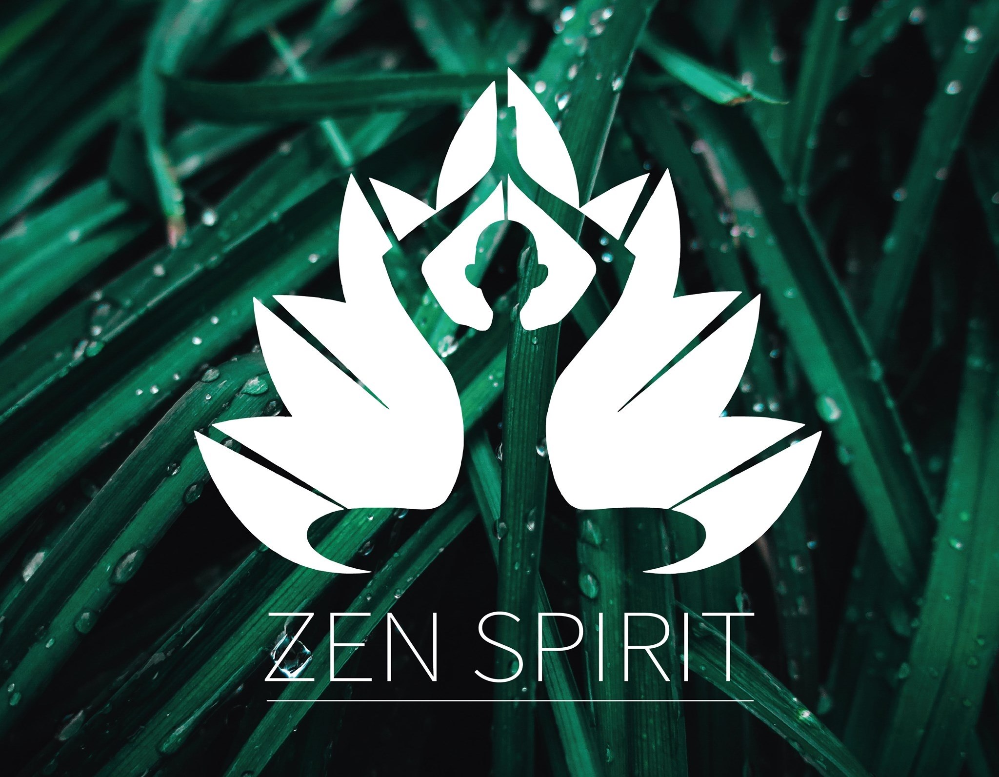 Zen Spirit Spa | Mont Choisy