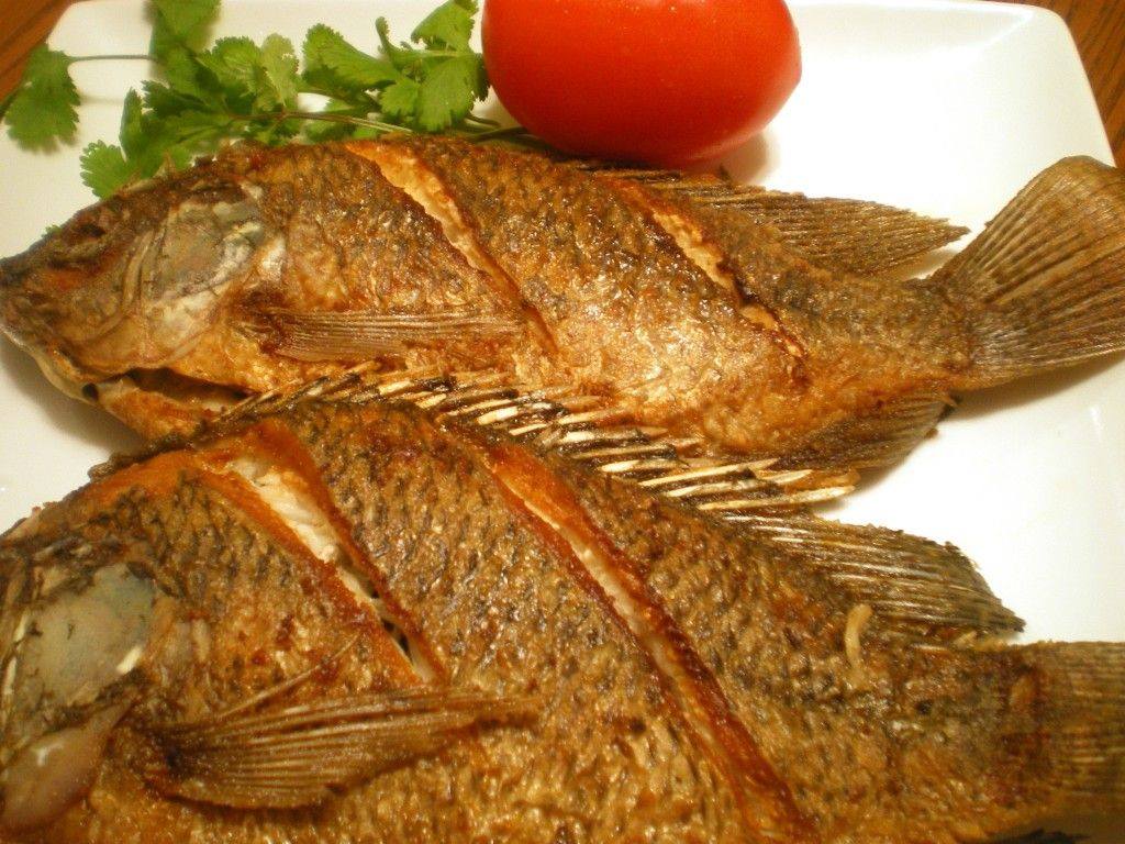 Juja Fish Centre | Juja