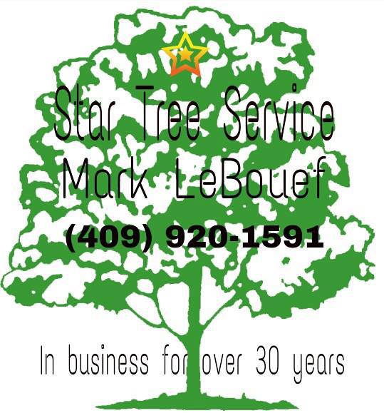 Star Tree Service | Orange TX