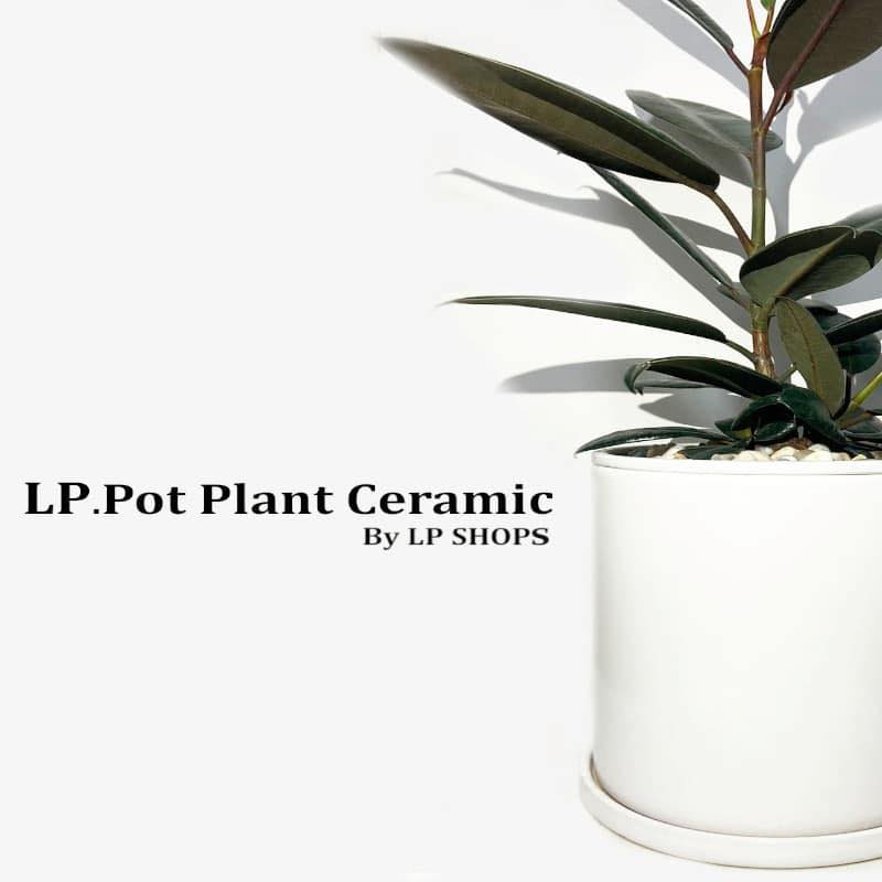 LP.Pot Plant Ceramic By LP Shops