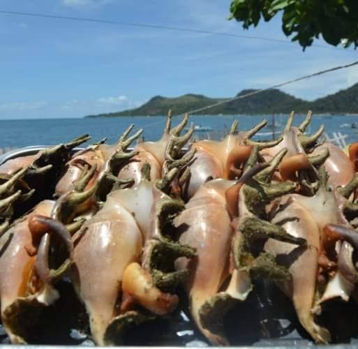 Seashell and Seafood Supply | Iloilo City