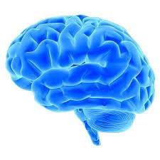 Profile for BrainyX