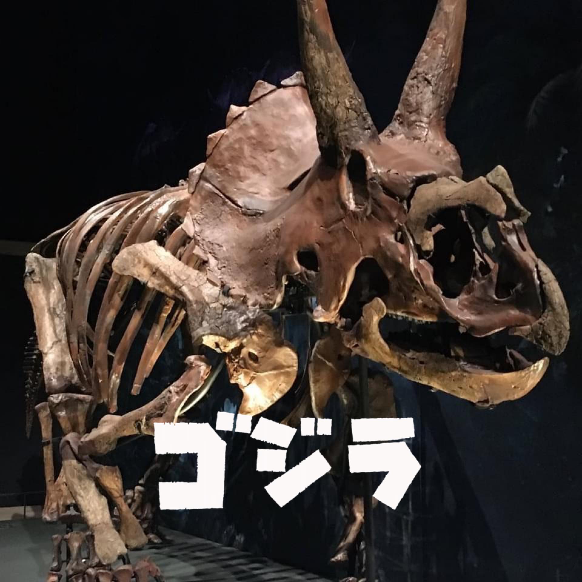 WORLD OF PREHISTORIC CREATURES | Pontolis magnus, a genus of large ...