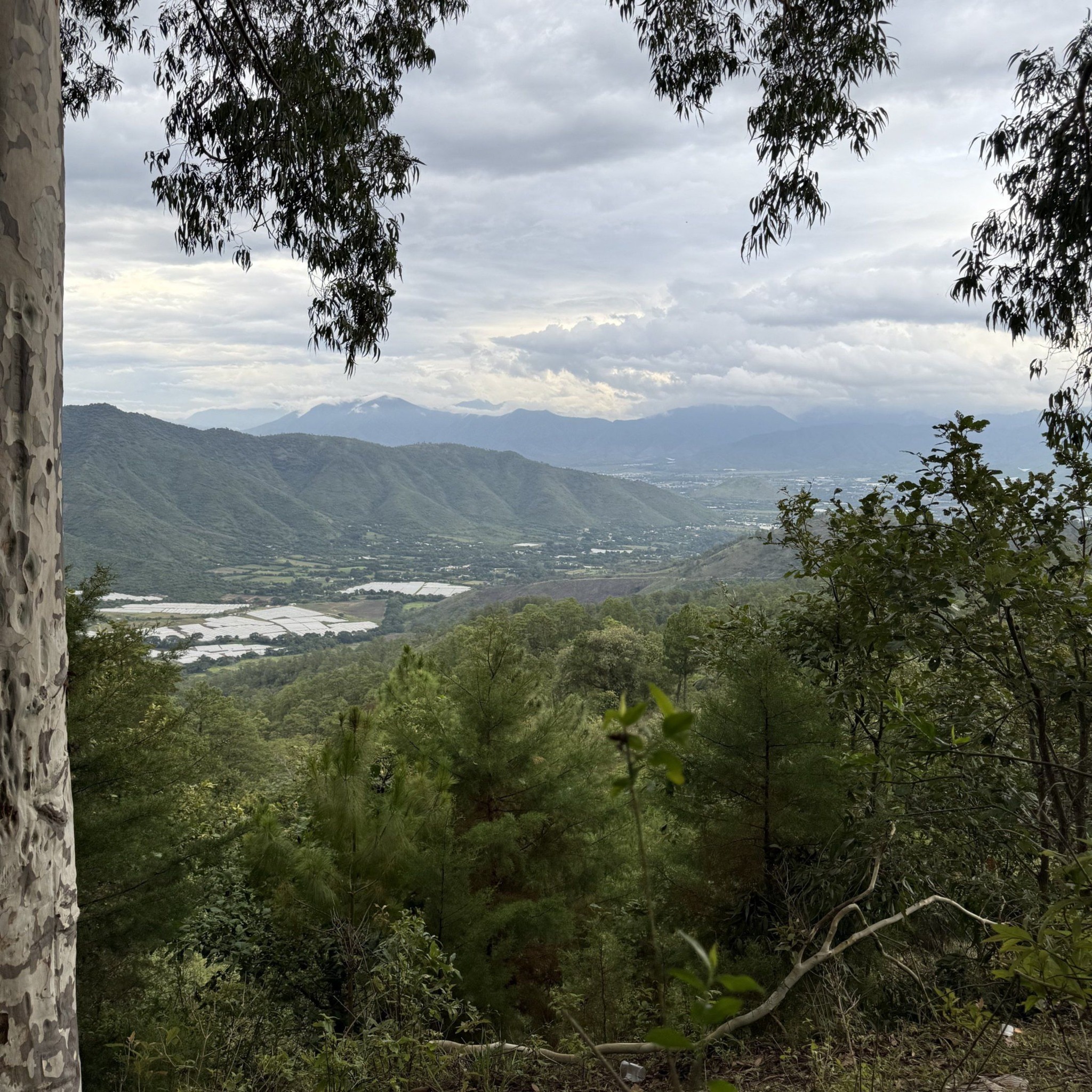 Tarjetas CUSCATLAN Guatemala - ¡Adquiere hoy mismo la mejor Tarjeta con ...