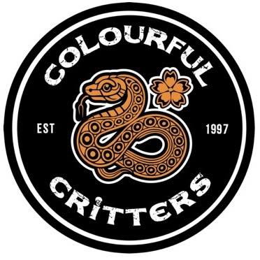 Platinum Spotted Python Morph Guide