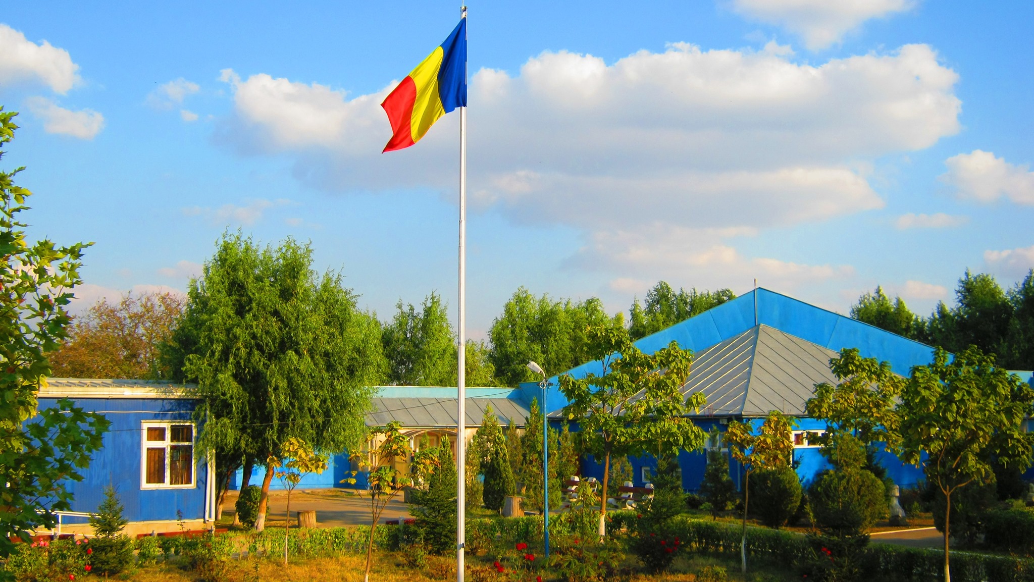 Anghel Rugină Pagina Oficială