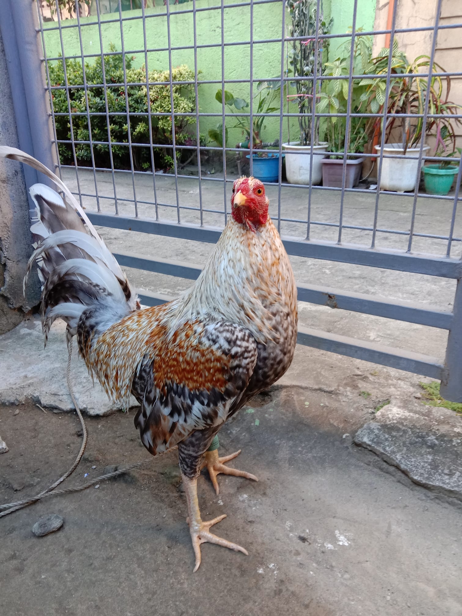 Relax muna ngayong araw, ang mahalaga unti unti nabawasan ang pila sa ...
