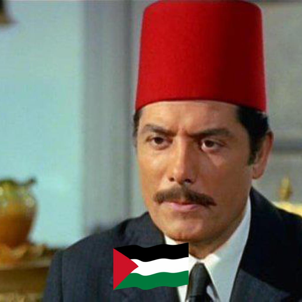 shoukry-sarhan