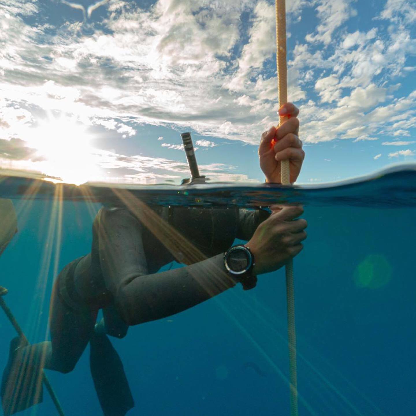 Freedive Ohana
