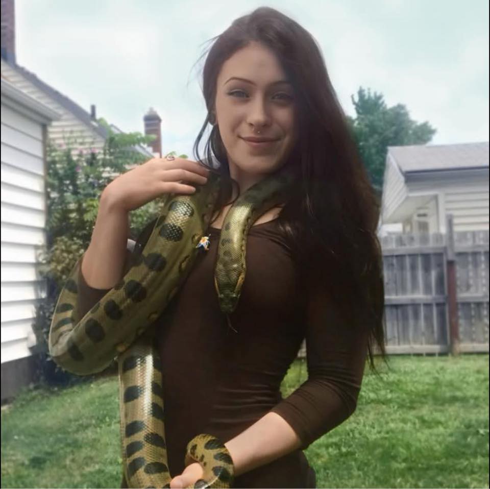 Tree Boa Feeding Guide