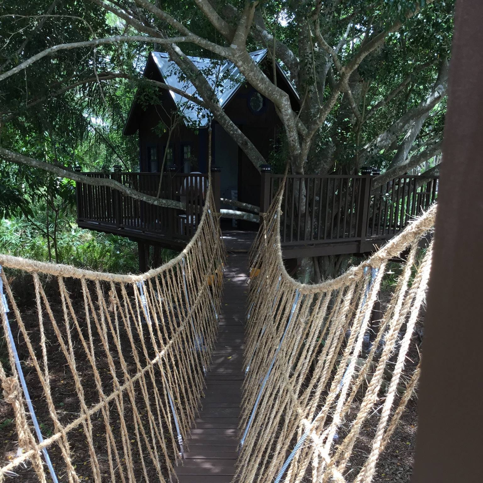 Miami Tree House Builders | Miami FL