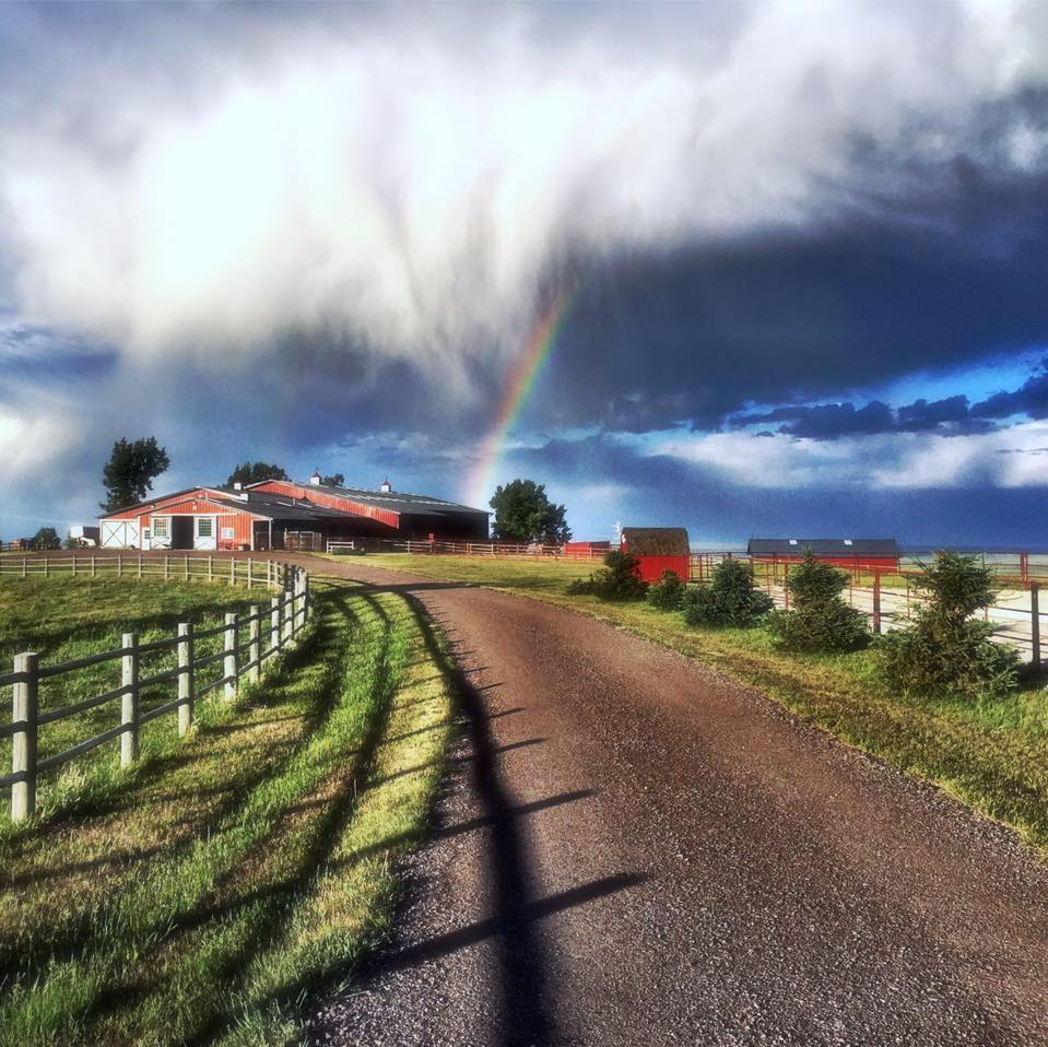 HIGHVIEW RANCH QUARTER HORSES, INC. Rapid City SD