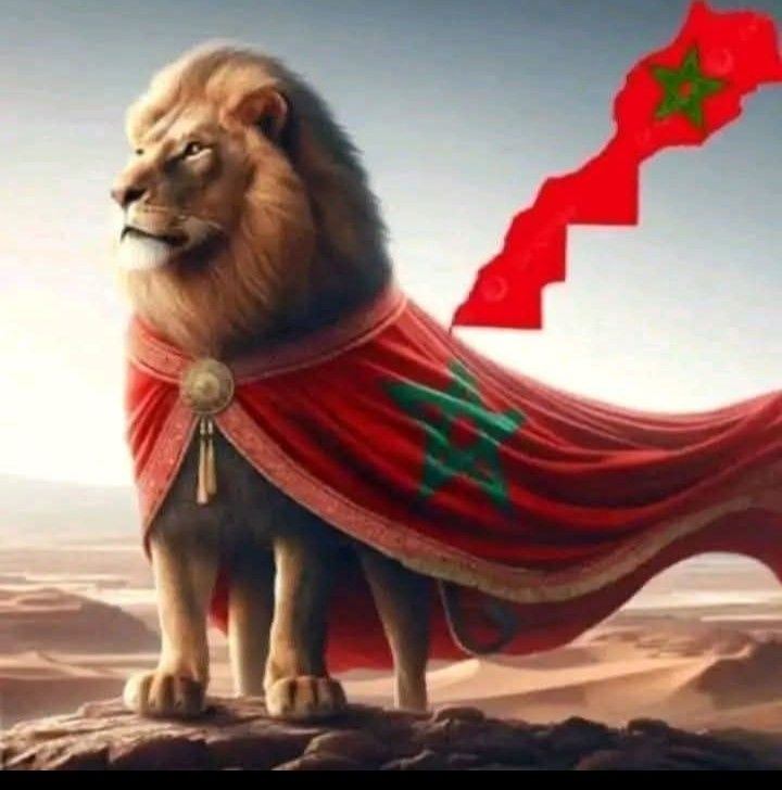 #ريلز #فيسبوك #المغرب #الجزائر #مصر #تونس #ليبيا #فليسطين #فرنسا #اروبا ...
