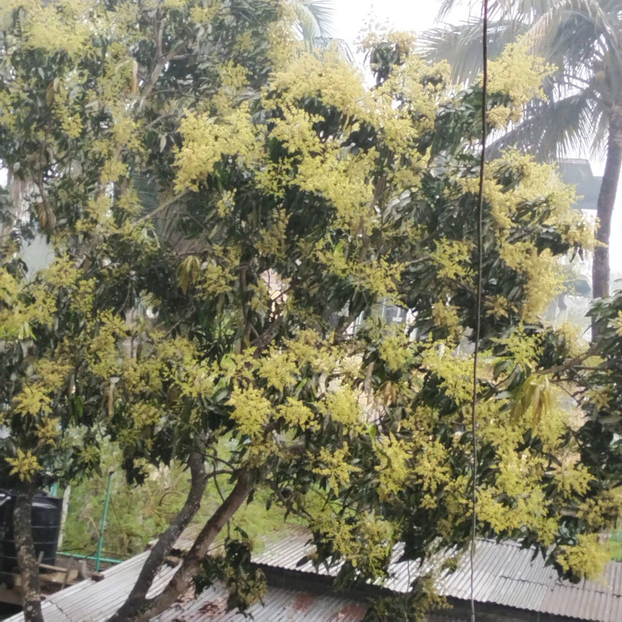 যাদের ছাড়া আমি অচল | Tania Alom