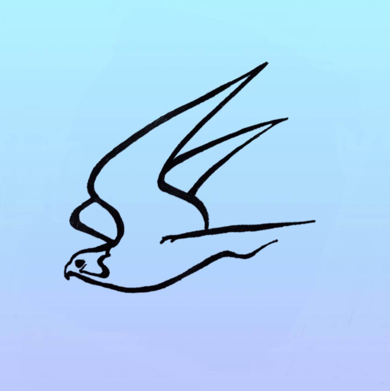 What's this Bird? - American Birding Association (ABA) | Good evening ...