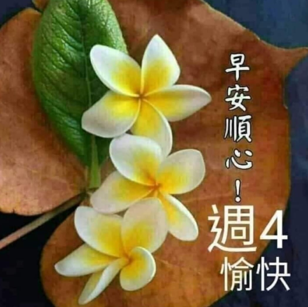 強勢登場！🎭新觀粵劇《英雄抉》今個初夏必睇之選🔥 今次《英雄抉》強強聯手，將陸文龍呢個經典角色重新打造，不但有深度，更有衝擊力！💥 《說岳全傳 ...