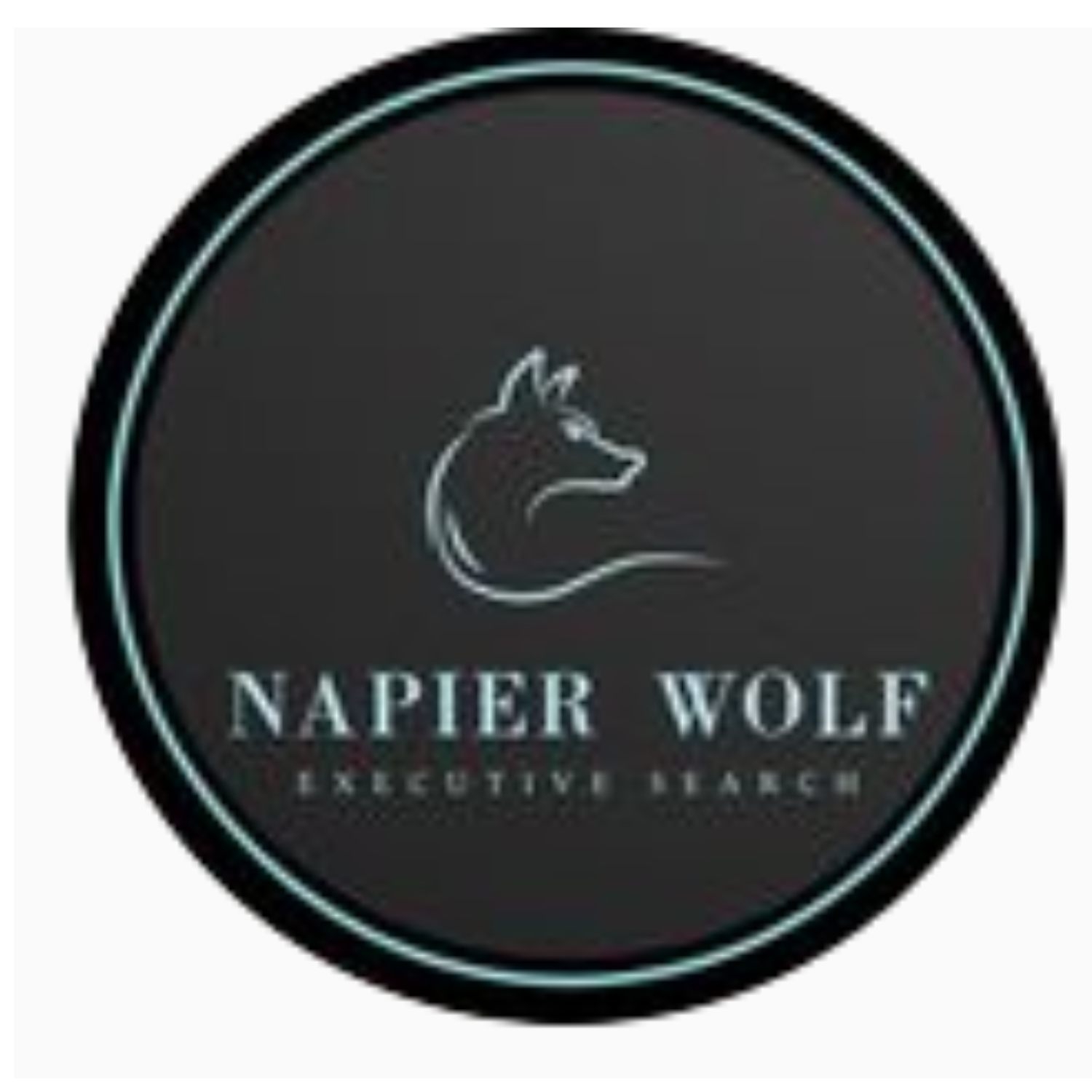 Napier Wolf Recruitment Ltd | London