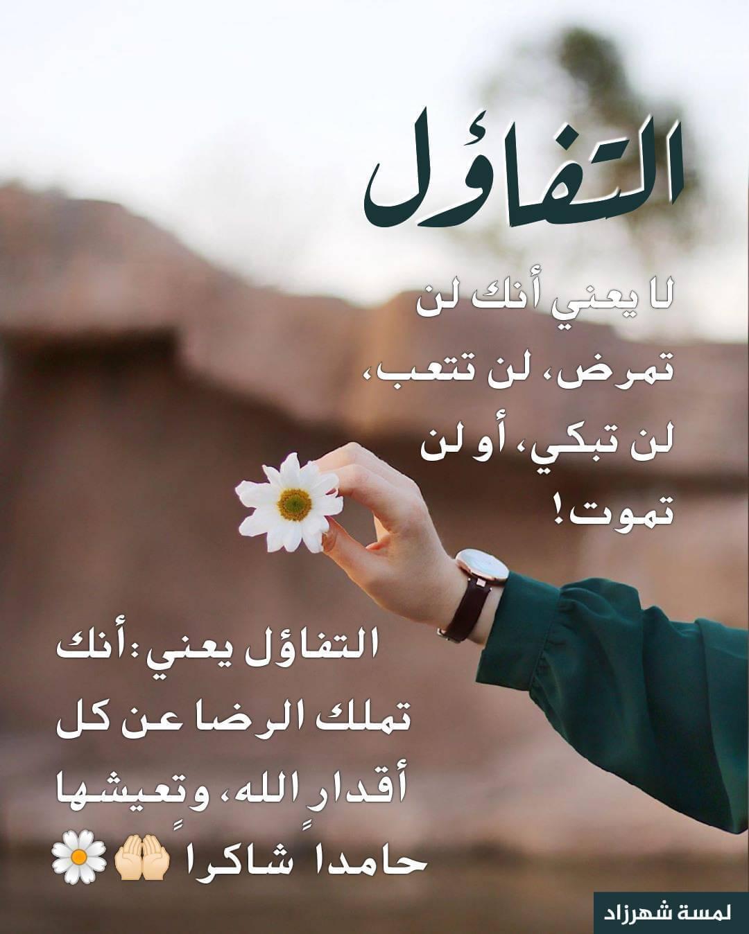 حاجز حراري 8 ملم | بشير لحلول السباكة