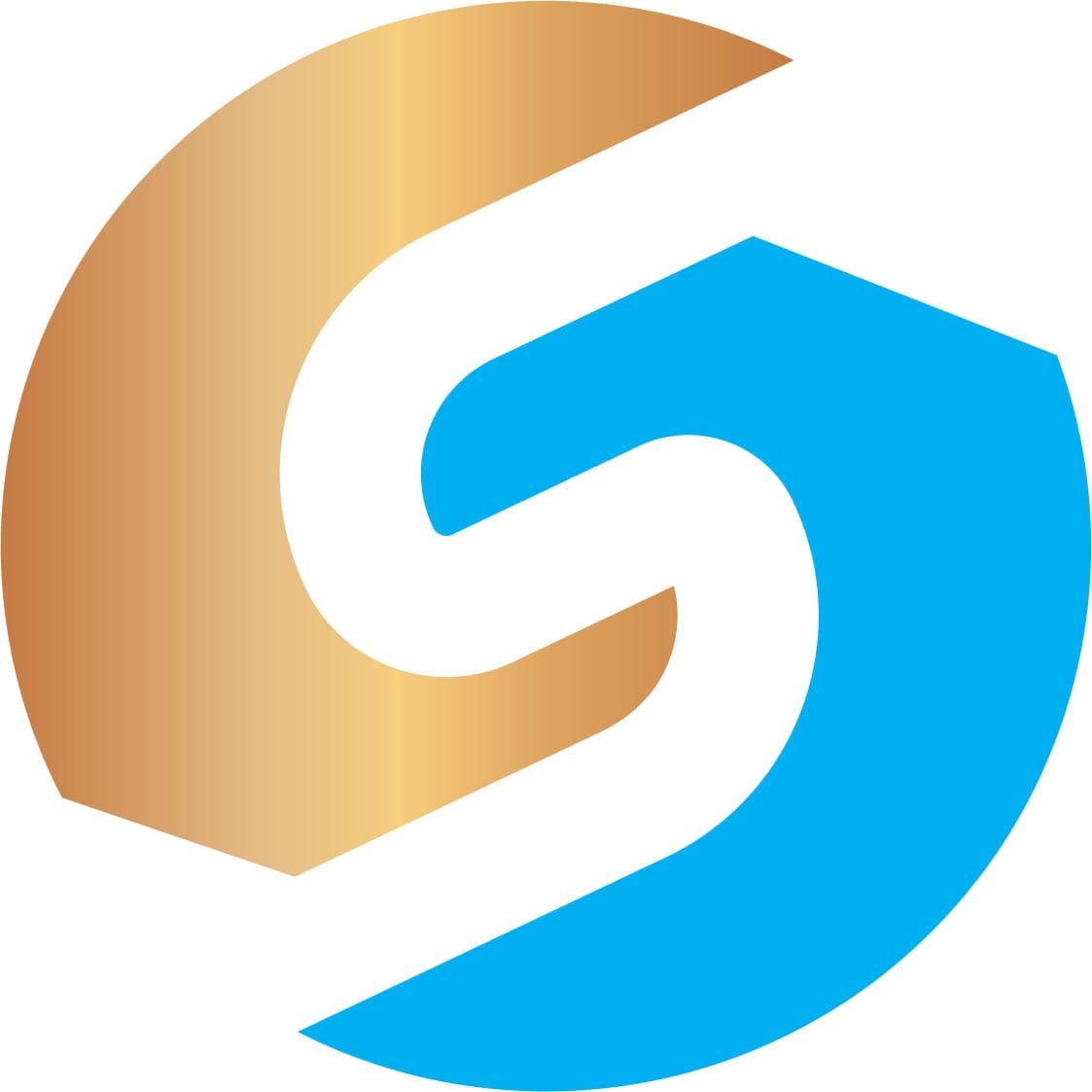 Samara Computer