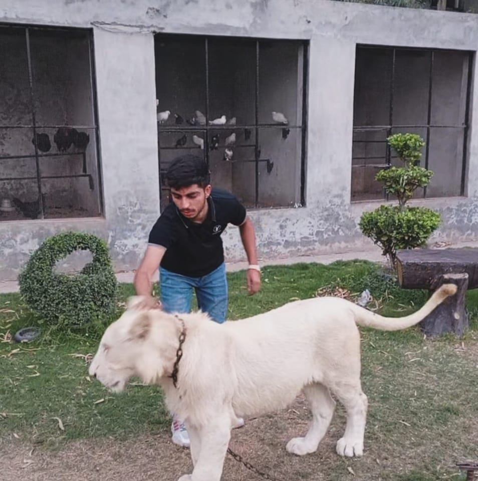 KINGS off LAHORE | Facebook