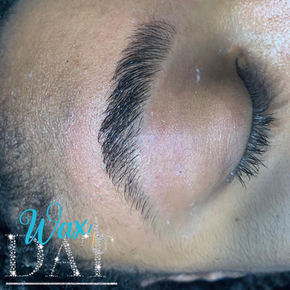 Wax Dat | Rockford IL