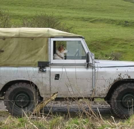 Landrover Owners Club And Sales Group | Land rover series 11a 1967 swb ...
