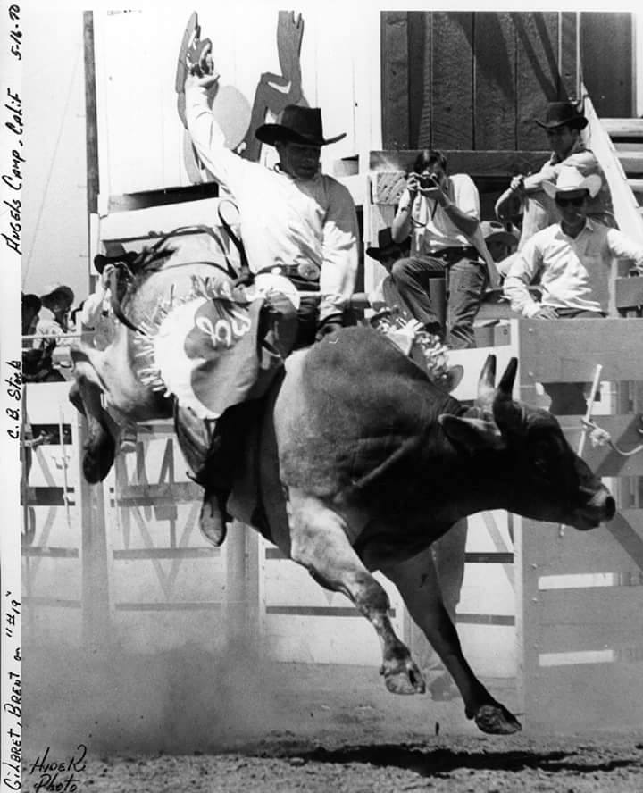 Rafter P Rodeo